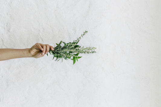 Cleansing Energy With More Than Just Sage
