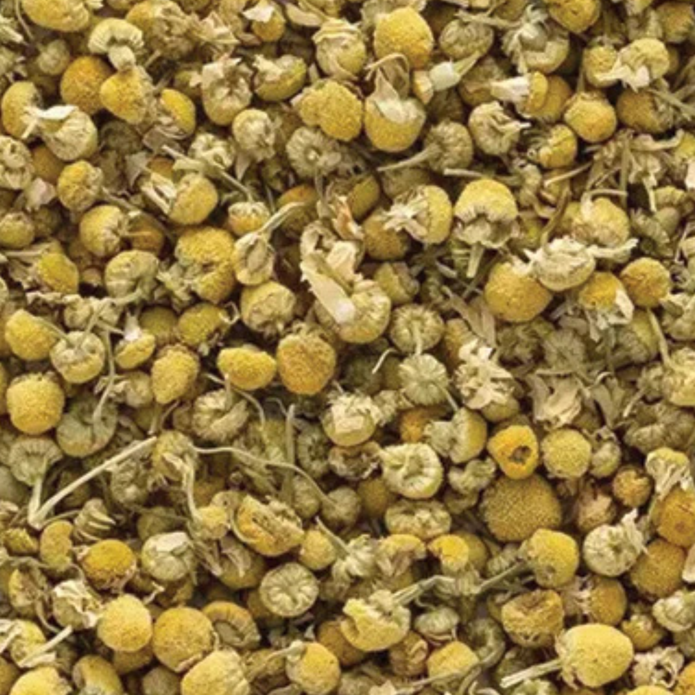 Chamomile Mint Loose Tea