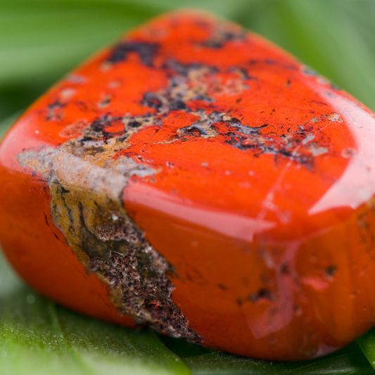 The Root of Red Jasper