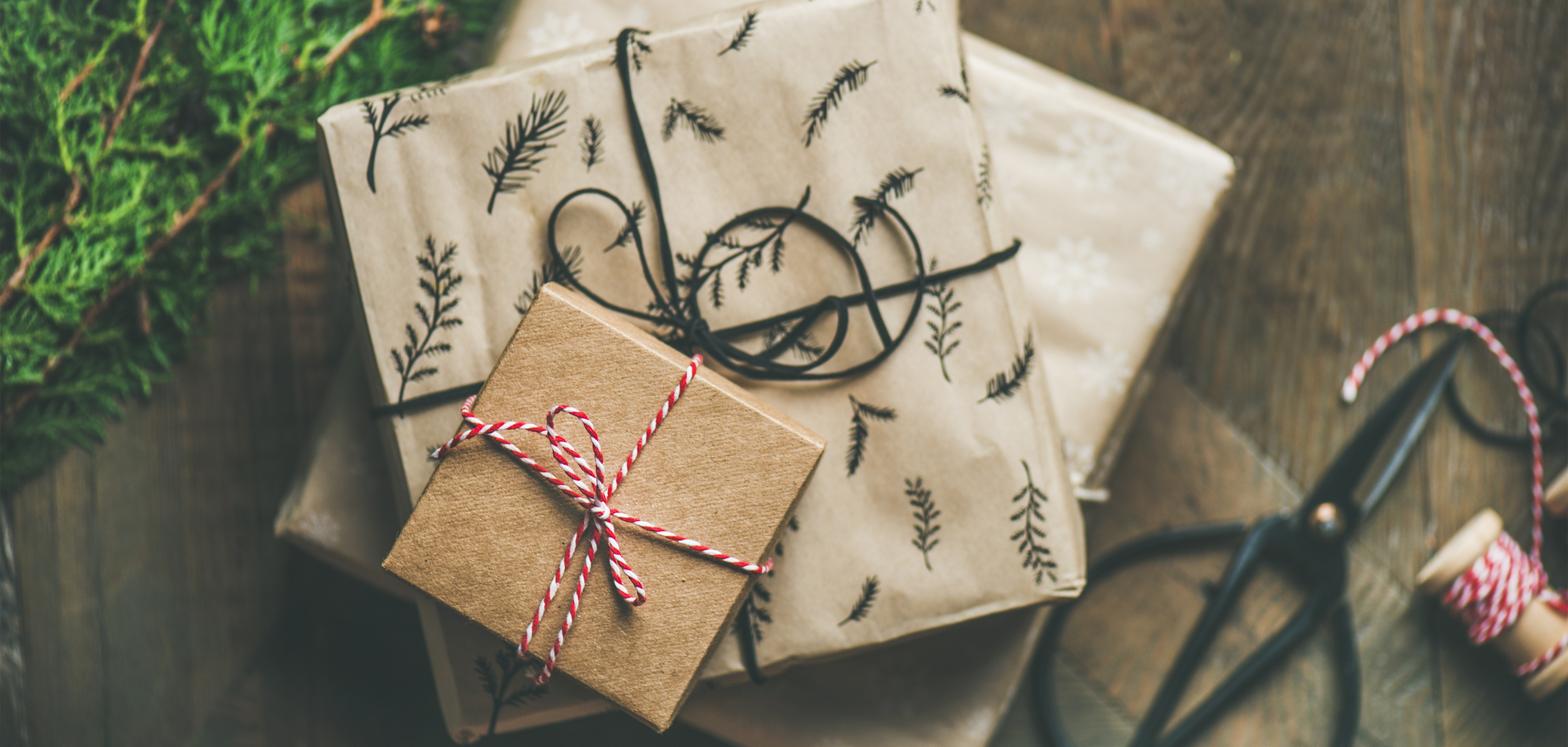 Whitmark Development Whitmark 2024 Gift Giving Guide – Whitmark Co.
